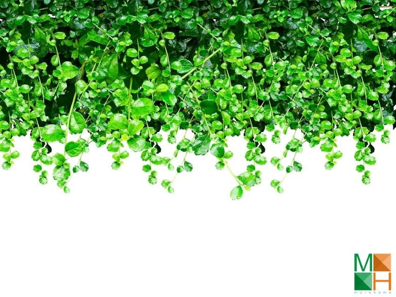 Tranh dán tường cho phòng khách đẹp tại Hà Nội NA - 068